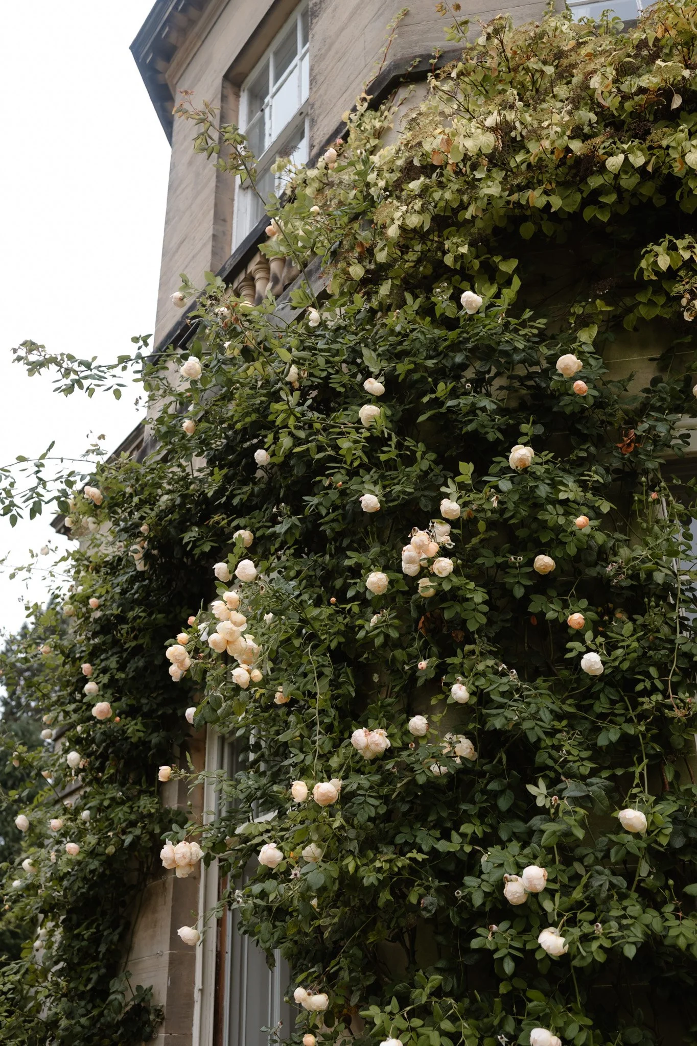 Middleton Lodge Wedding Photographer-20.jpg