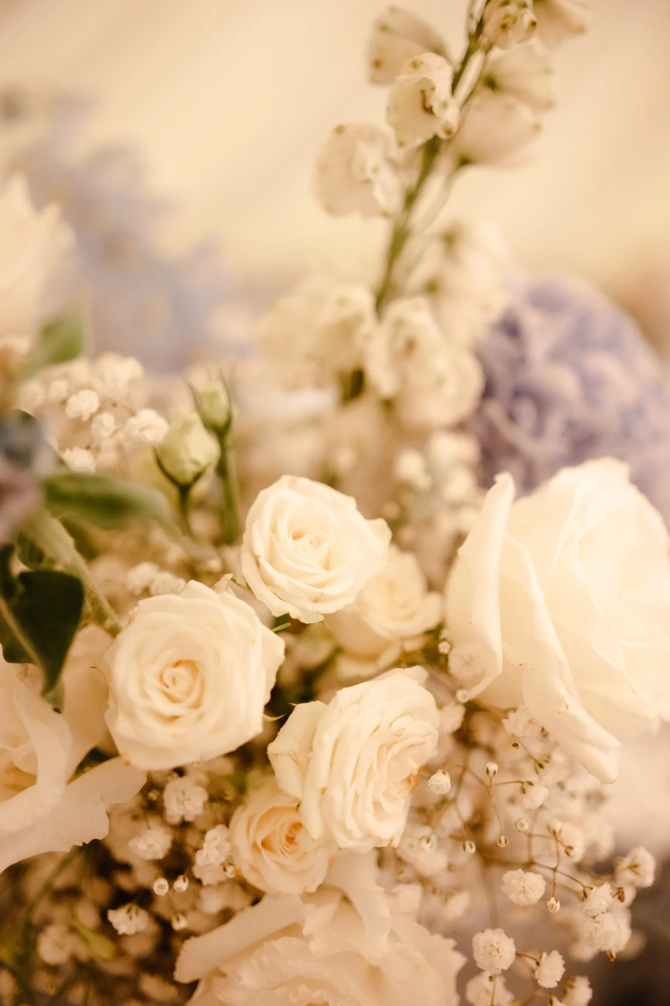 Middleton Lodge Wedding Photographer-107.jpg