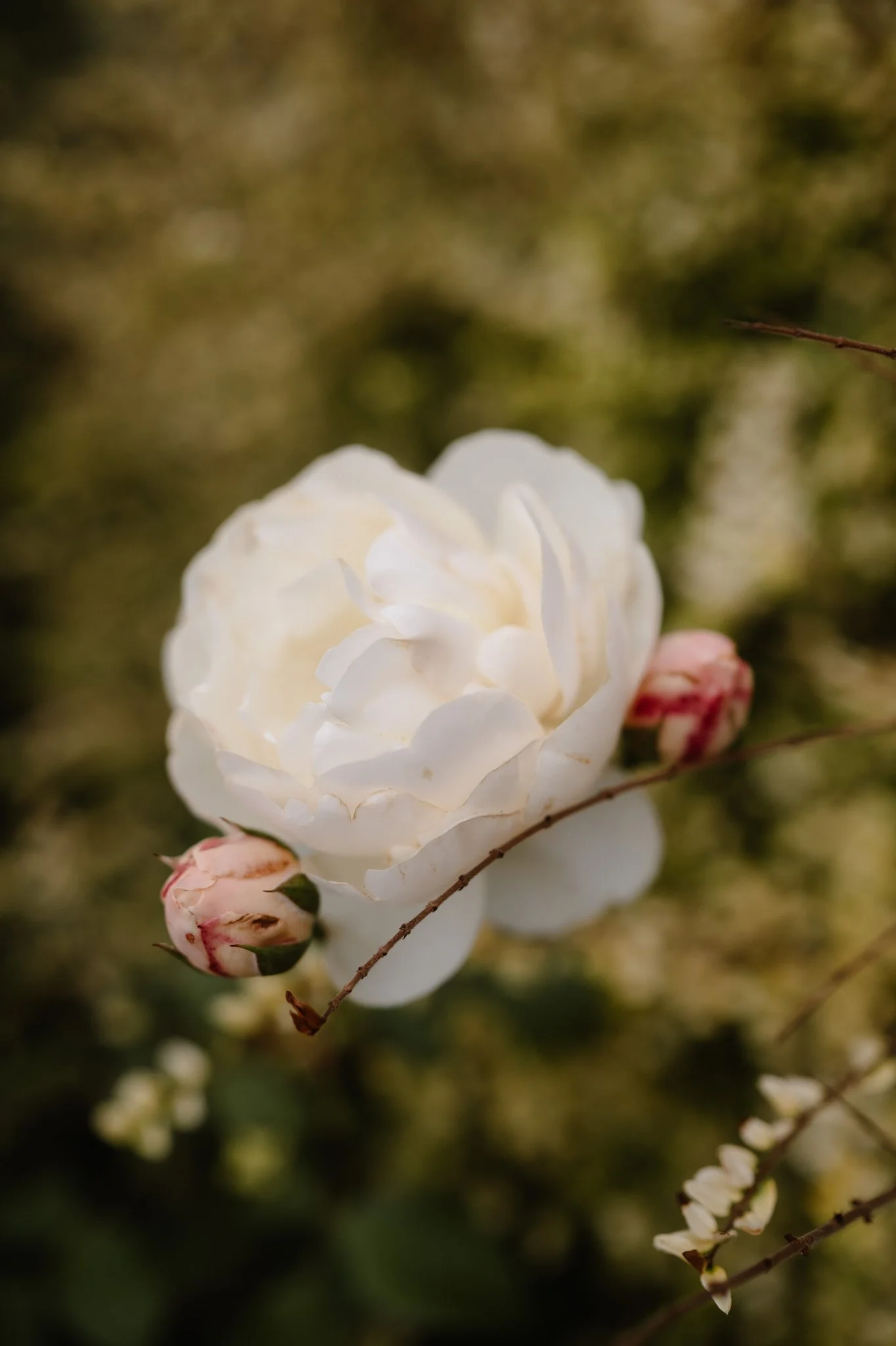 Middleton Lodge Wedding Photographer-113.jpg