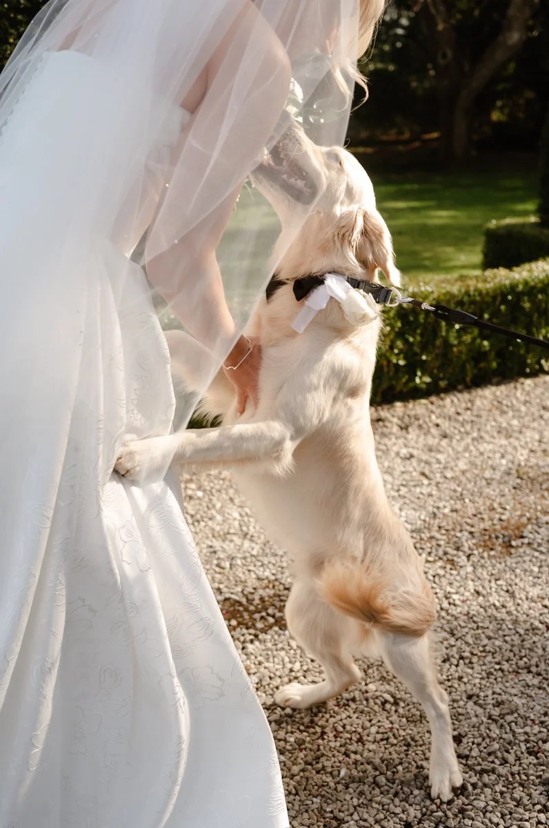 Luxury Wedding Photography -14.jpg