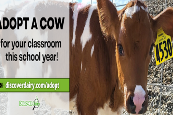 CF on X: My students are adopting a dairy cow this year and would
