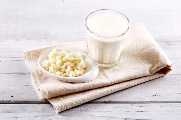 Fermented Milk Products: What Can I Add Kefir To?