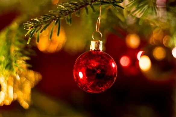 Be Honest: Is Your Christmas Tree Still Up?