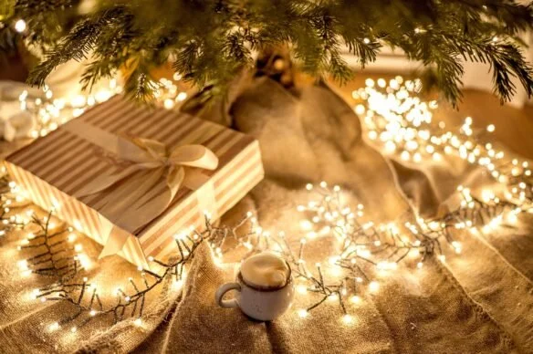 Drum Roll for National Christmas Lights Day