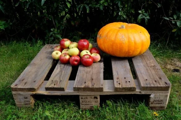 Pumpkin Spice vs Apple Cider: Who Wins?