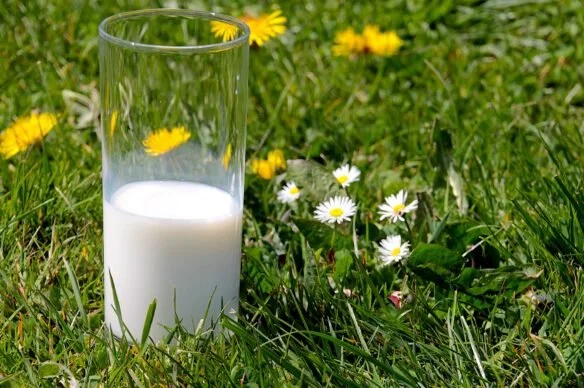 Shopping Local? Don’t Forget the Milk