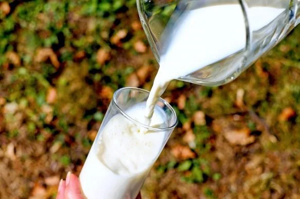 Milk in the Garden: Put Milk in Plants for Added Benefits