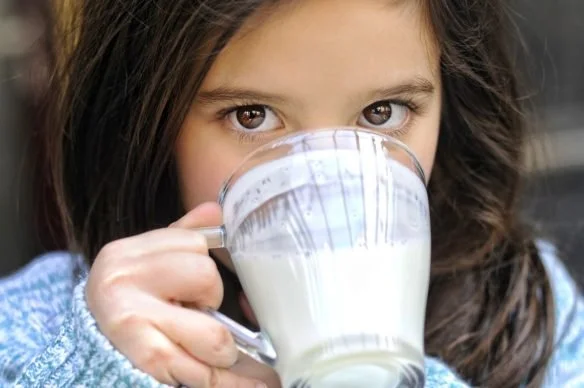 Why Do Humans Drink Cow’s Milk?
