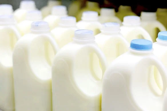 What is Pasteurization?