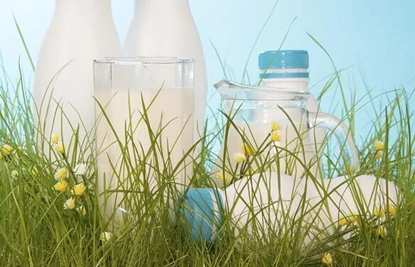 Clean Eating and Milk