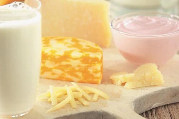 Top 10 Food Sources of Calcium