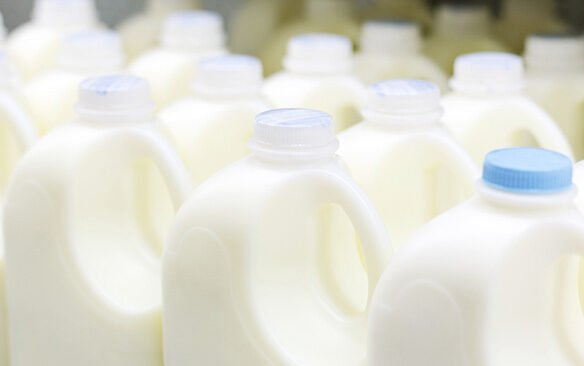 Whole Milk in the News