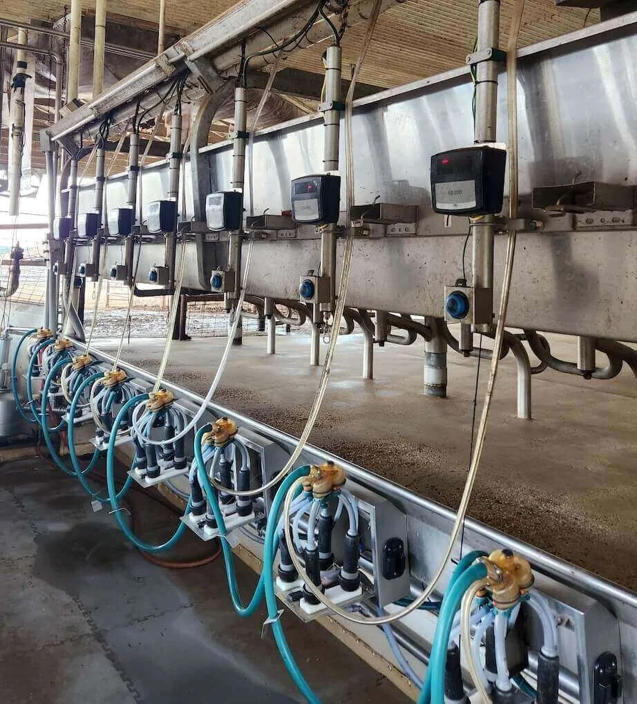Dairy Farmers Use Tech to Improve Efficiency and Cow Care