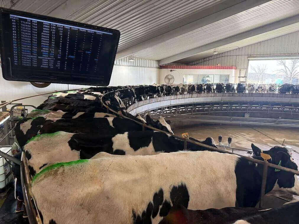 LeeCo Dairy in Quitman, GA