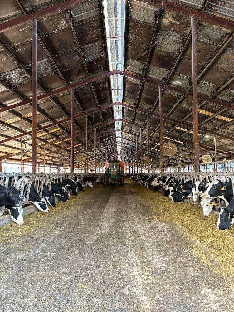 What is Winter Life Like for Southeast Dairy Farmers?