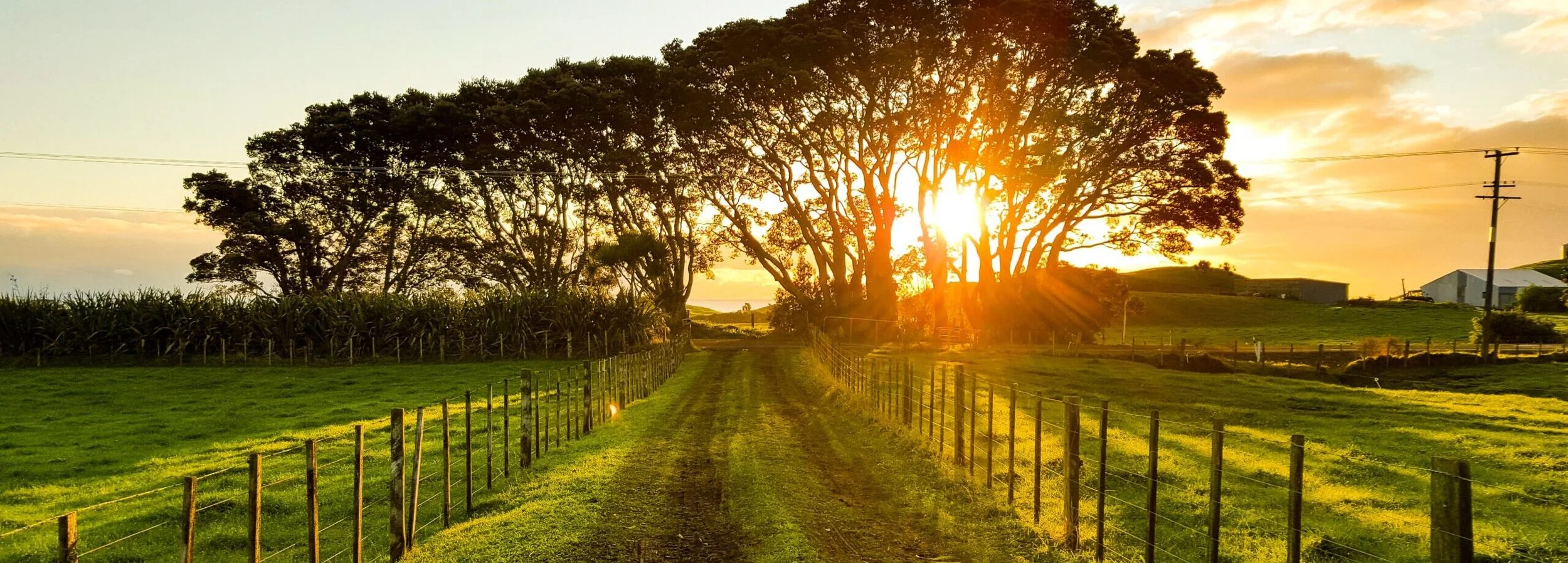 Dairy Facts: Tech Drives Dairy and Agriculture Forward