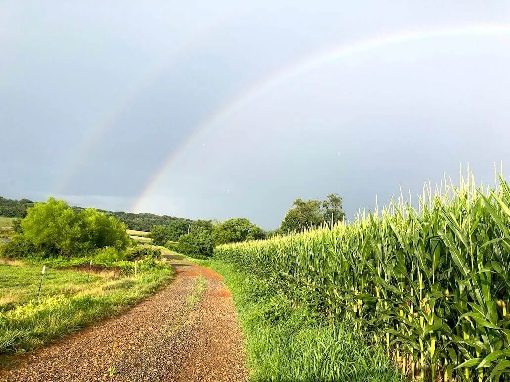 Matthews Farms in Rocky Mount, VA