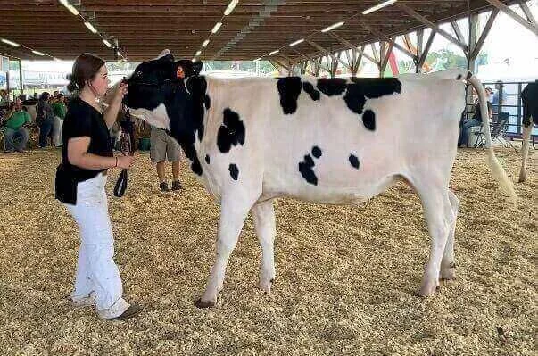 Meet the Hard-Working 2026 Southeast Dairy Ambassadors