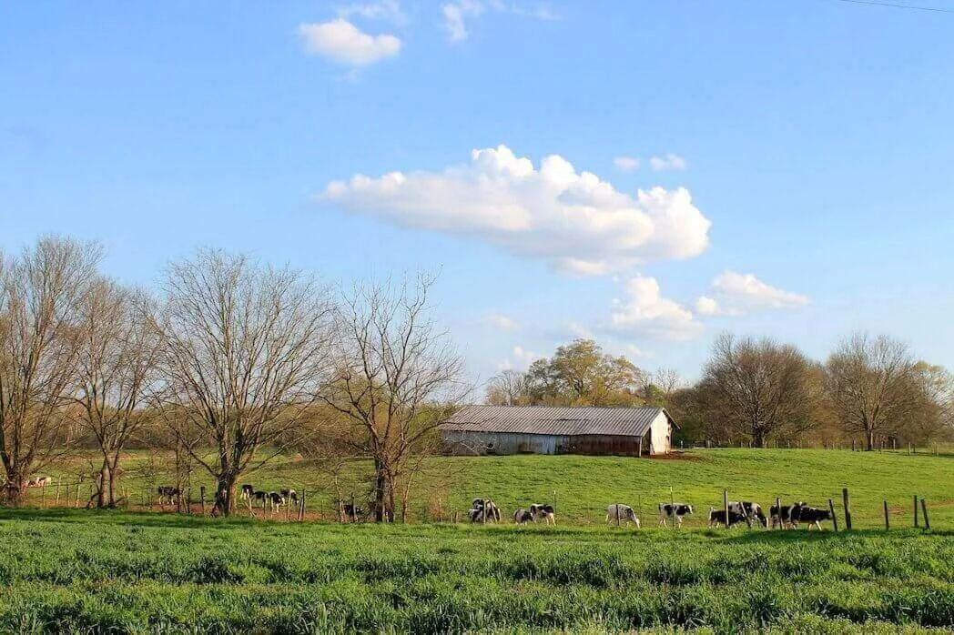 Dairy Farmers Reduce, Reuse, and Repurpose on the Farm