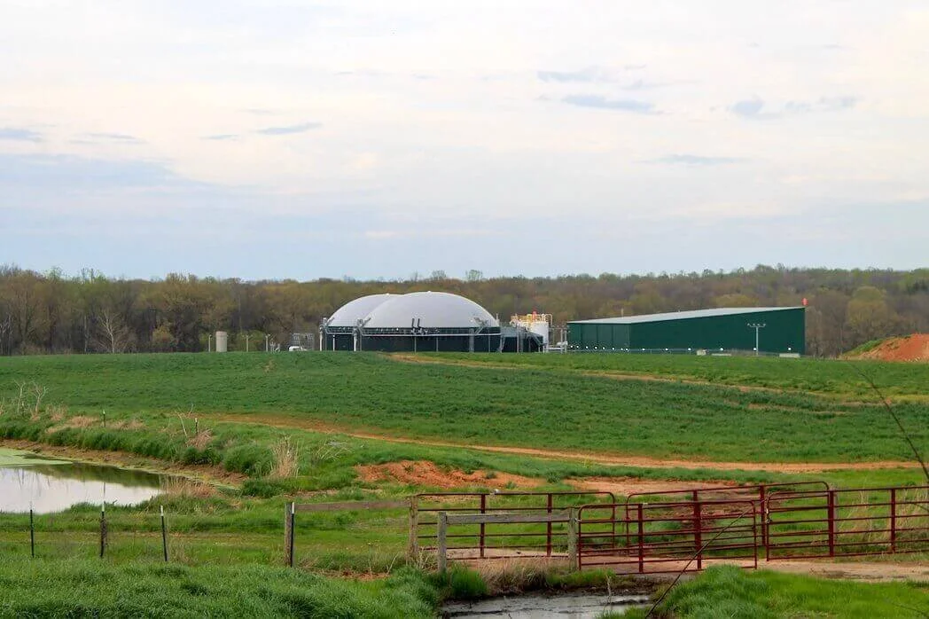 Cowherd Dairy in Campbellsville, KY