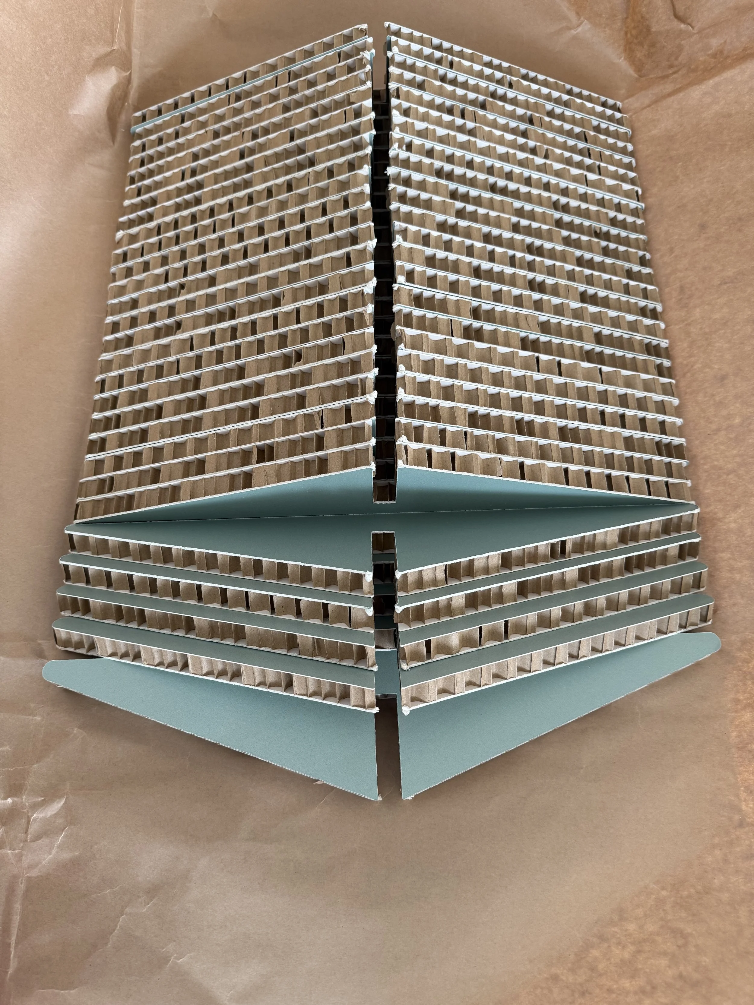 IMG_2225.jpg