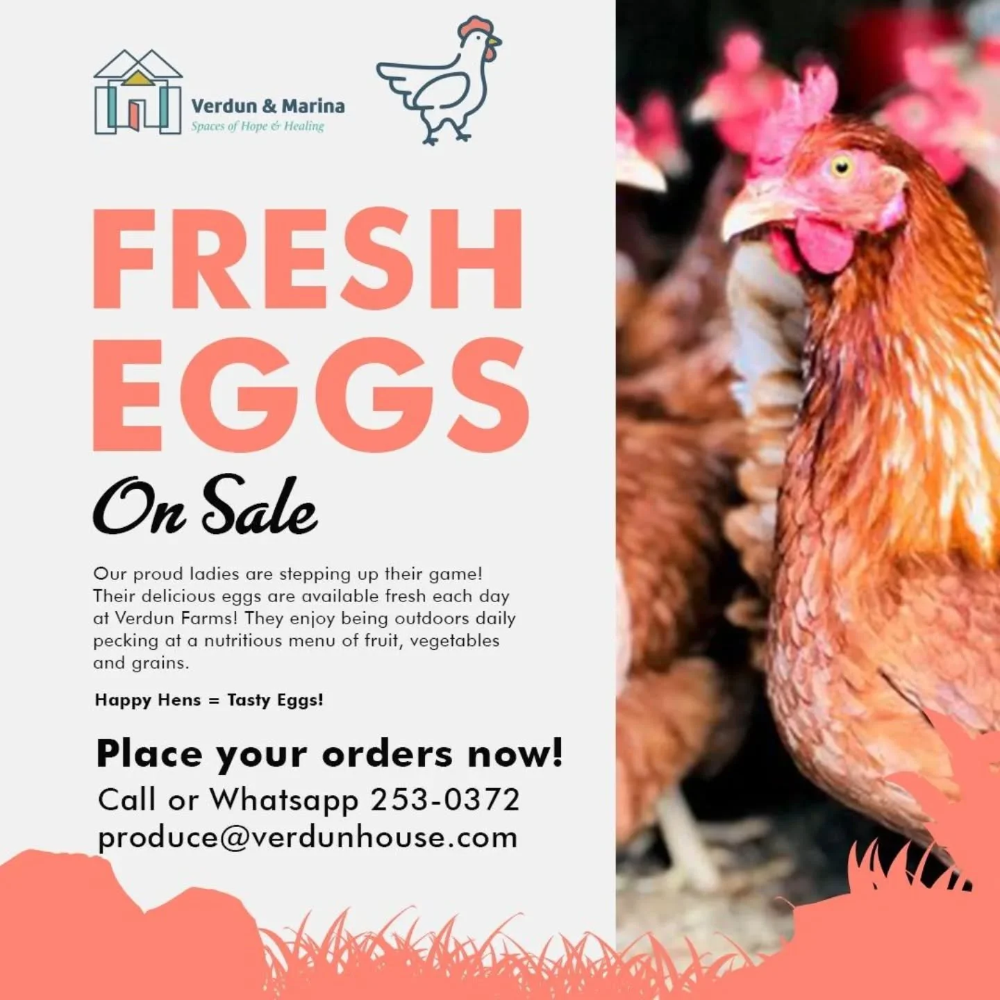 Get you fresh eggs today