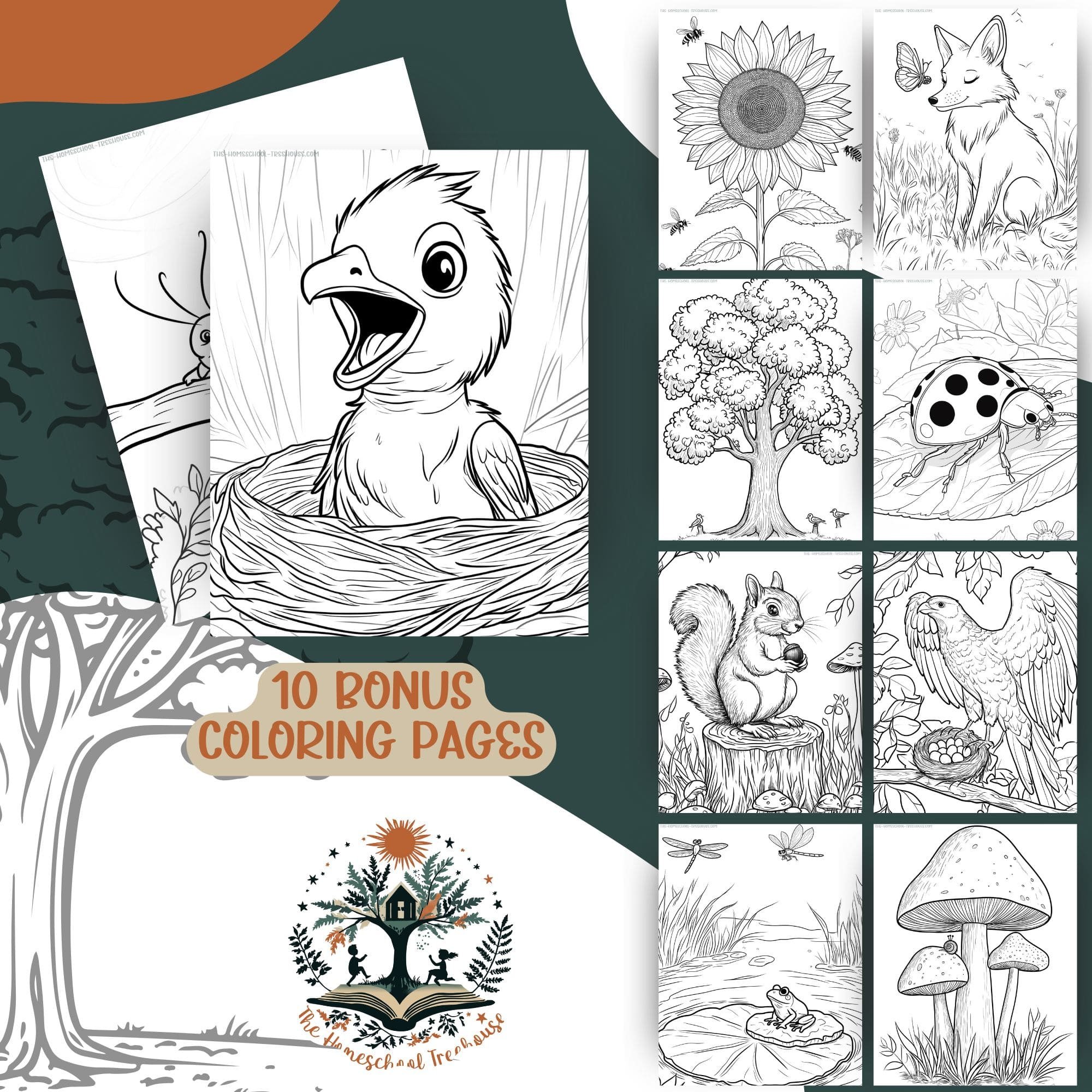 Nature-Journal-Coloring Pages-Mockup-min.jpg