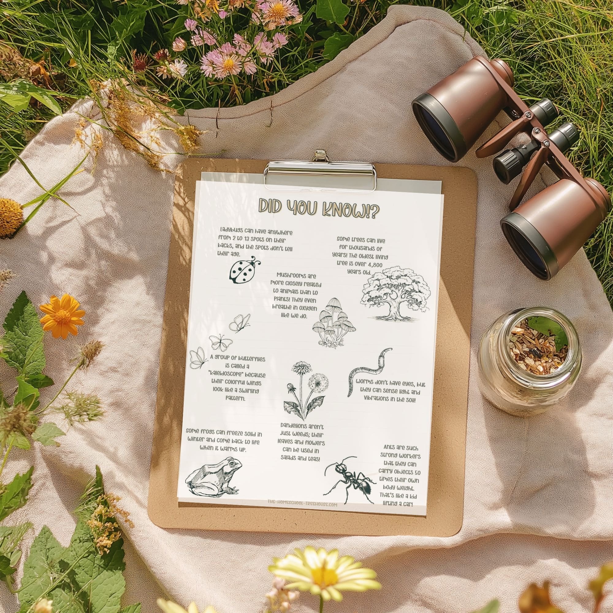Nature-Journal-mockup-10-min.jpg