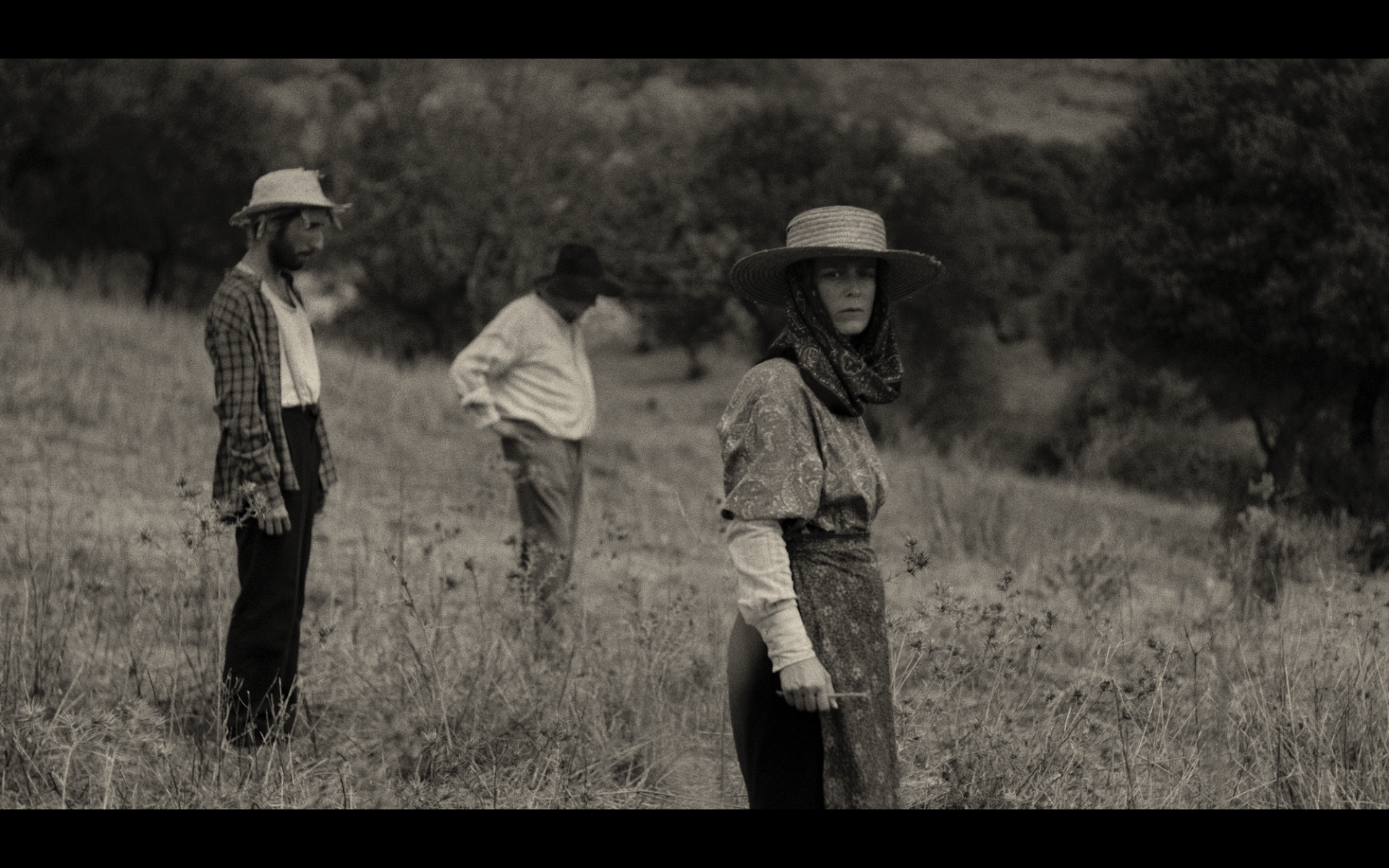 Screenshot 2026-02-12 at 15.11.01.png