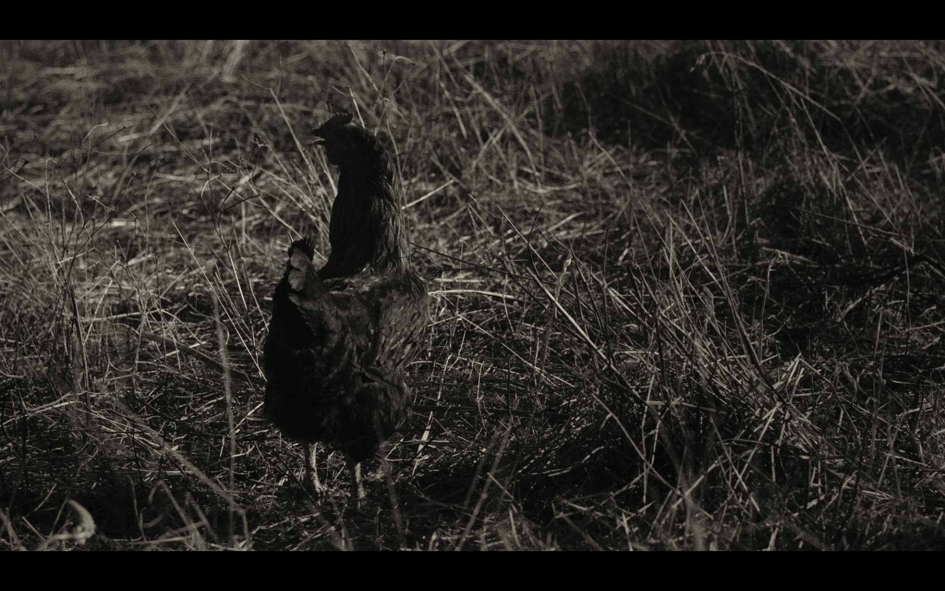 Screenshot 2026-02-12 at 15.11.40.png