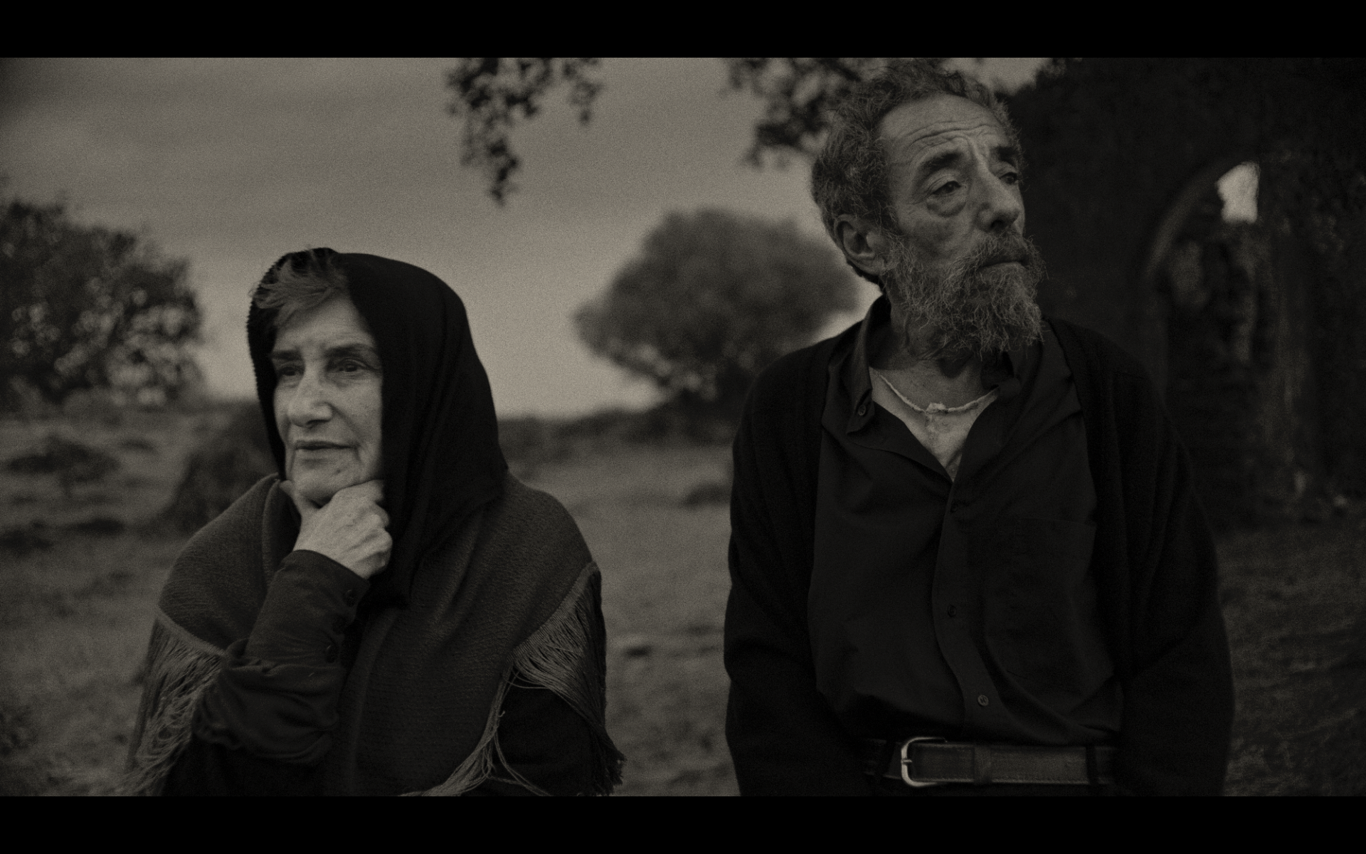 Screenshot 2026-02-12 at 15.13.34.png