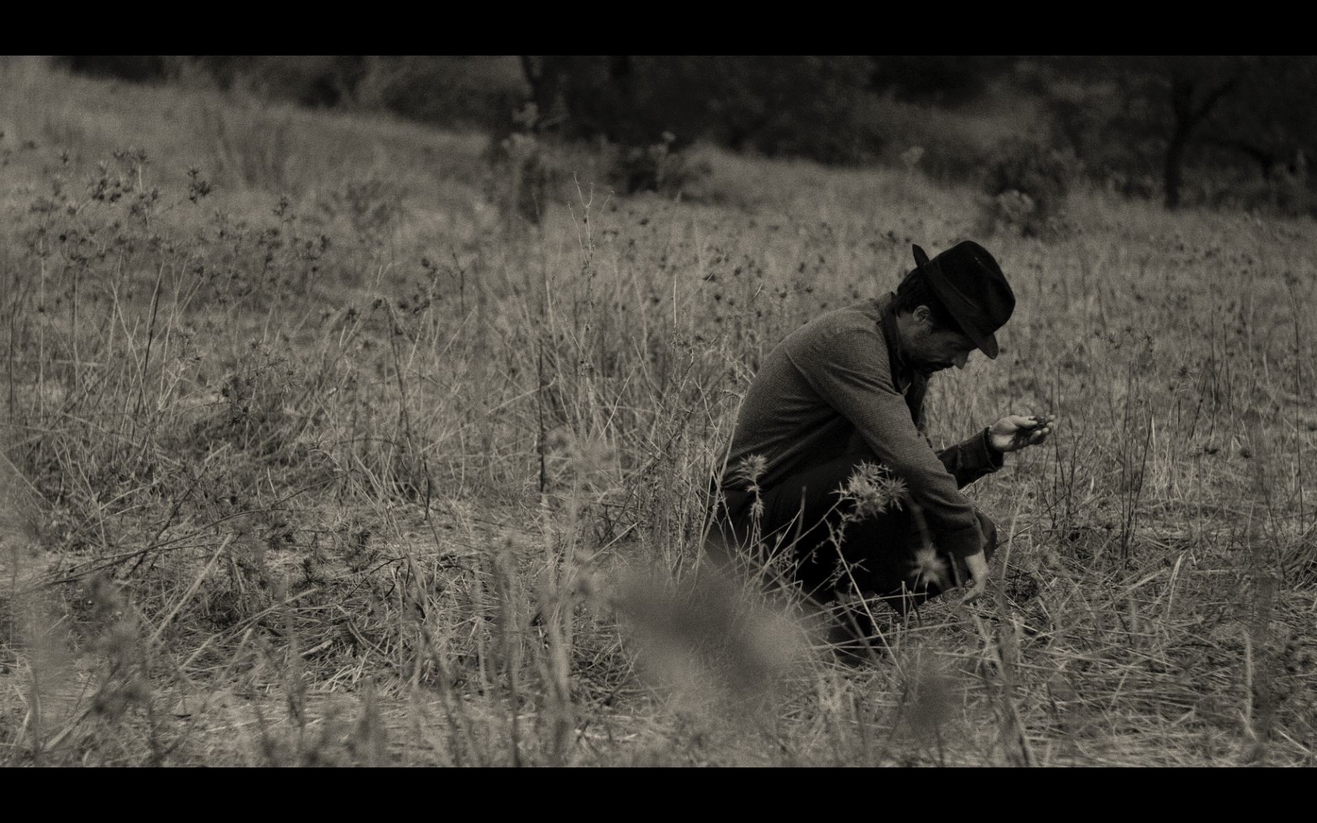 Screenshot 2026-02-12 at 15.11.18.png