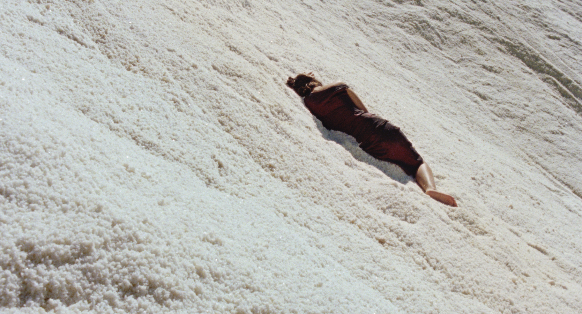 A Solidão dos Lagartos