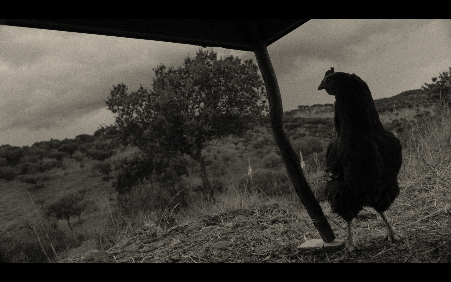 Screenshot 2026-02-12 at 15.15.43.png