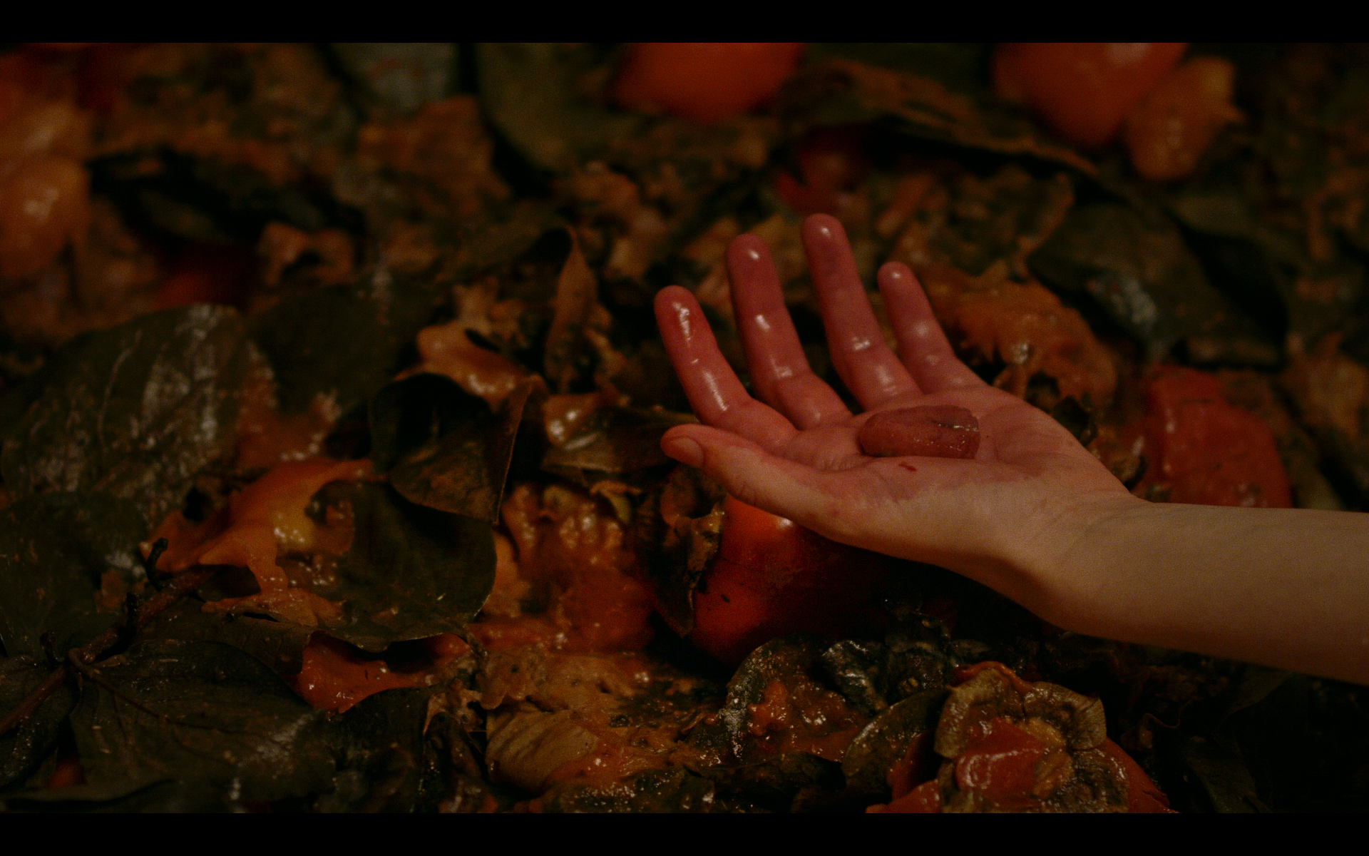 Screenshot 2026-02-26 at 12.39.13.png