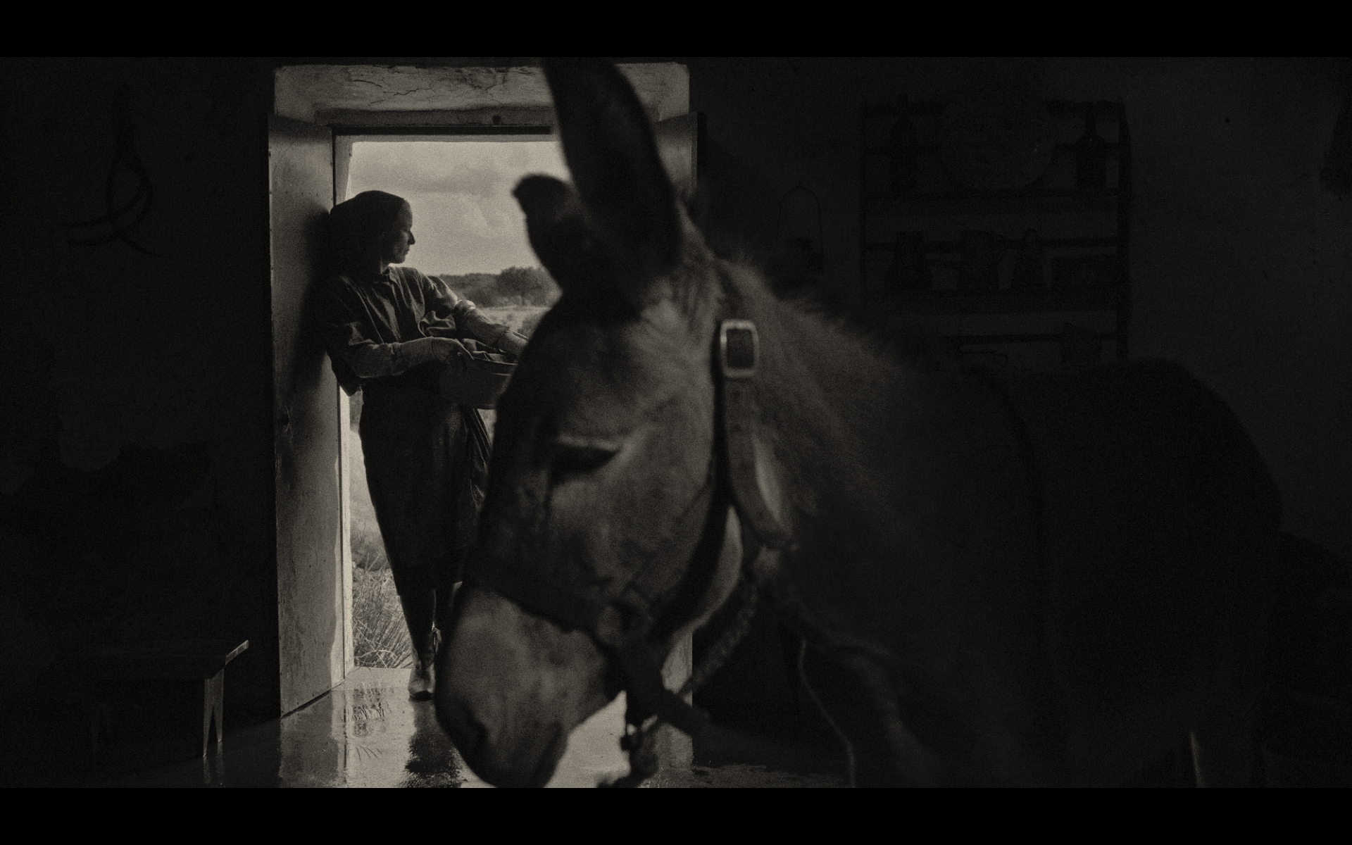 Screenshot 2026-02-12 at 15.14.23.png