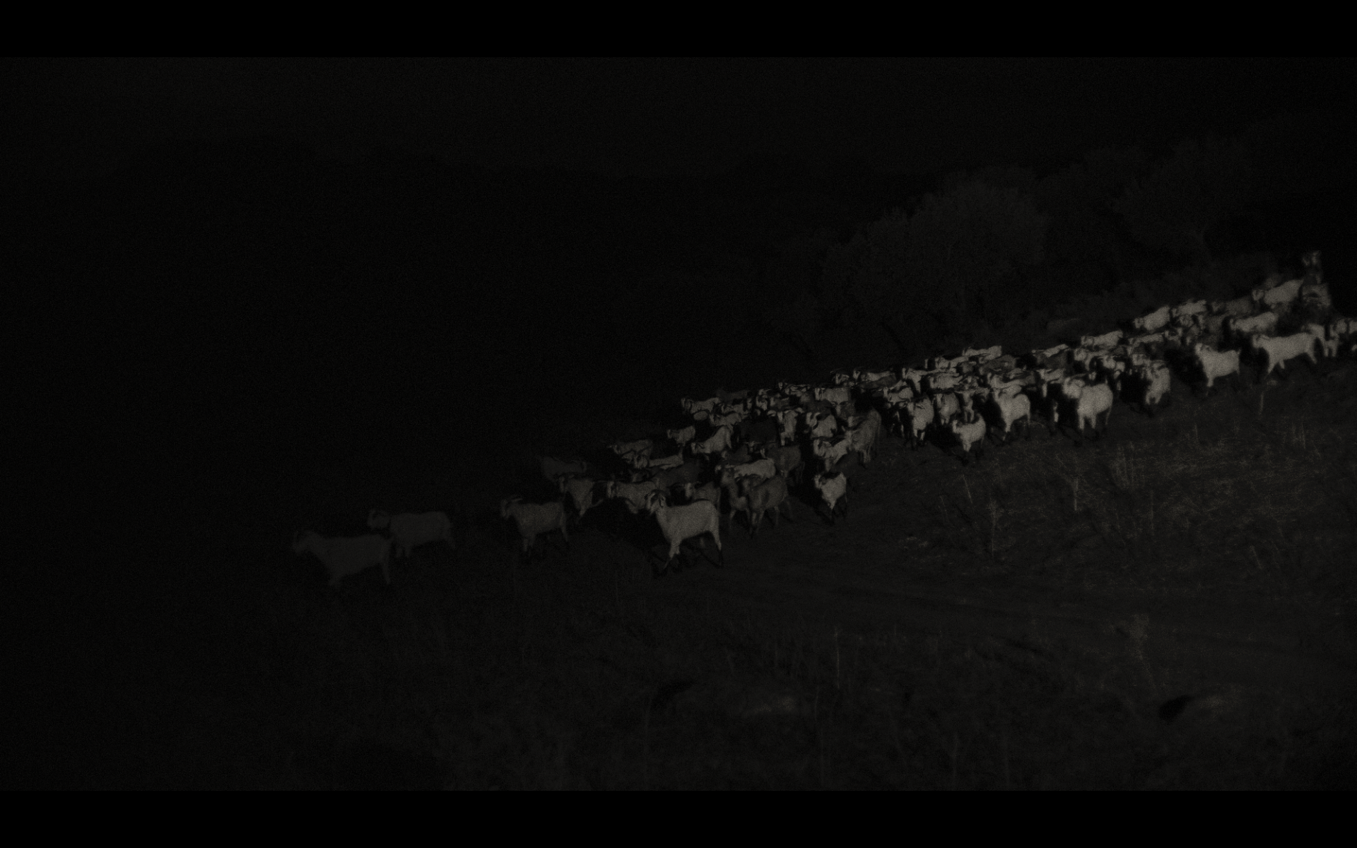 Screenshot 2026-02-12 at 15.07.21.png