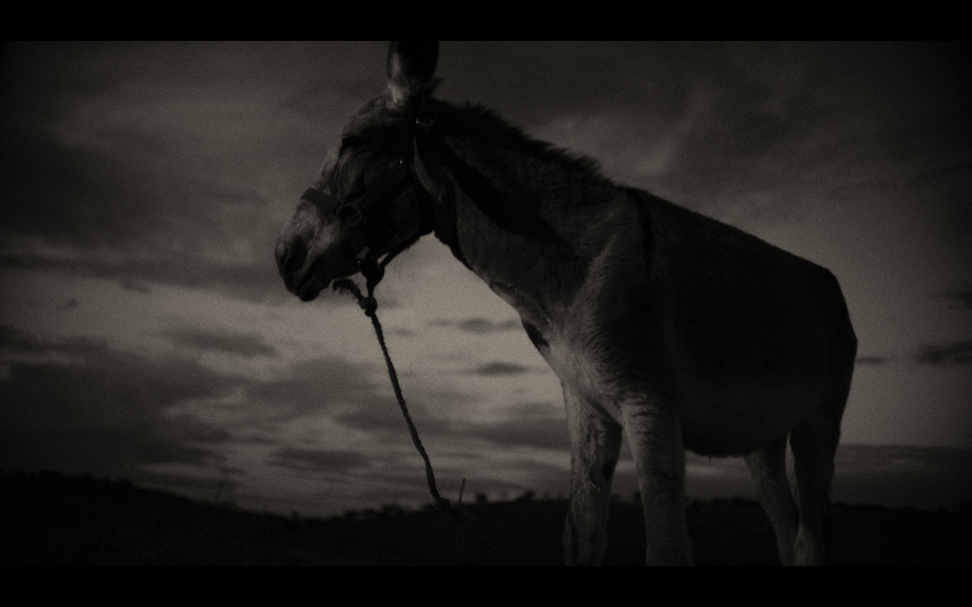 Screenshot 2026-02-12 at 15.07.52.png