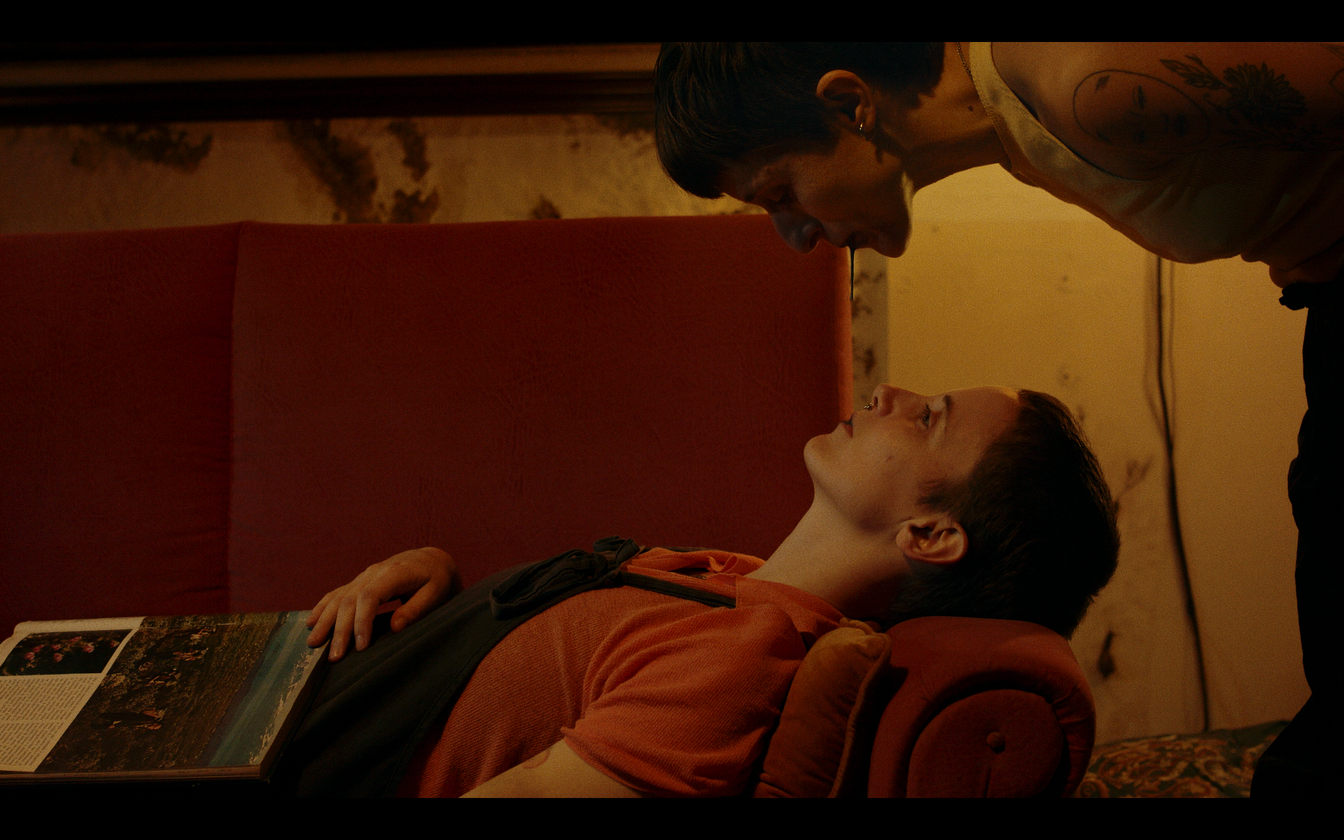 Screenshot 2026-02-26 at 12.36.43.png