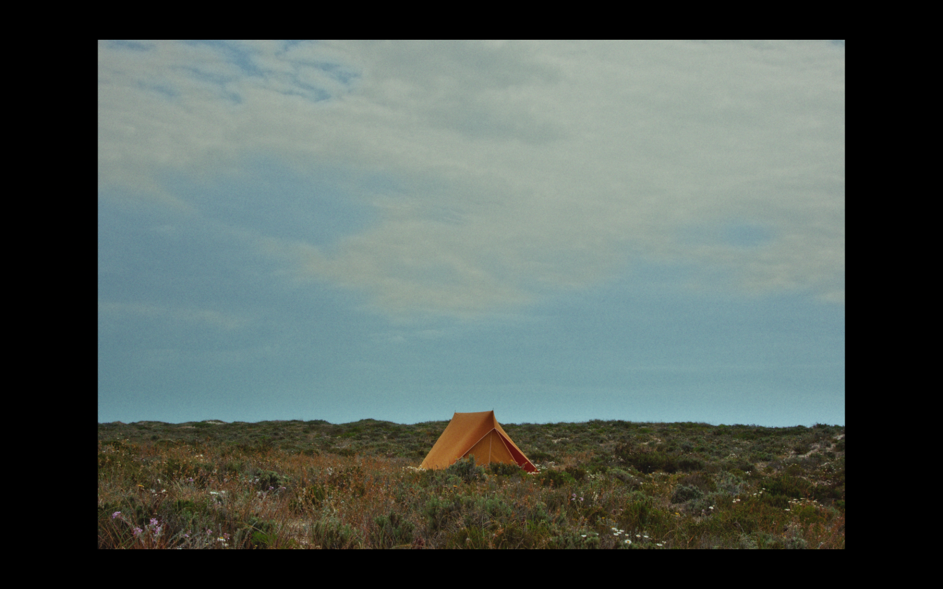 Screenshot 2026-02-18 at 14.49.29.png