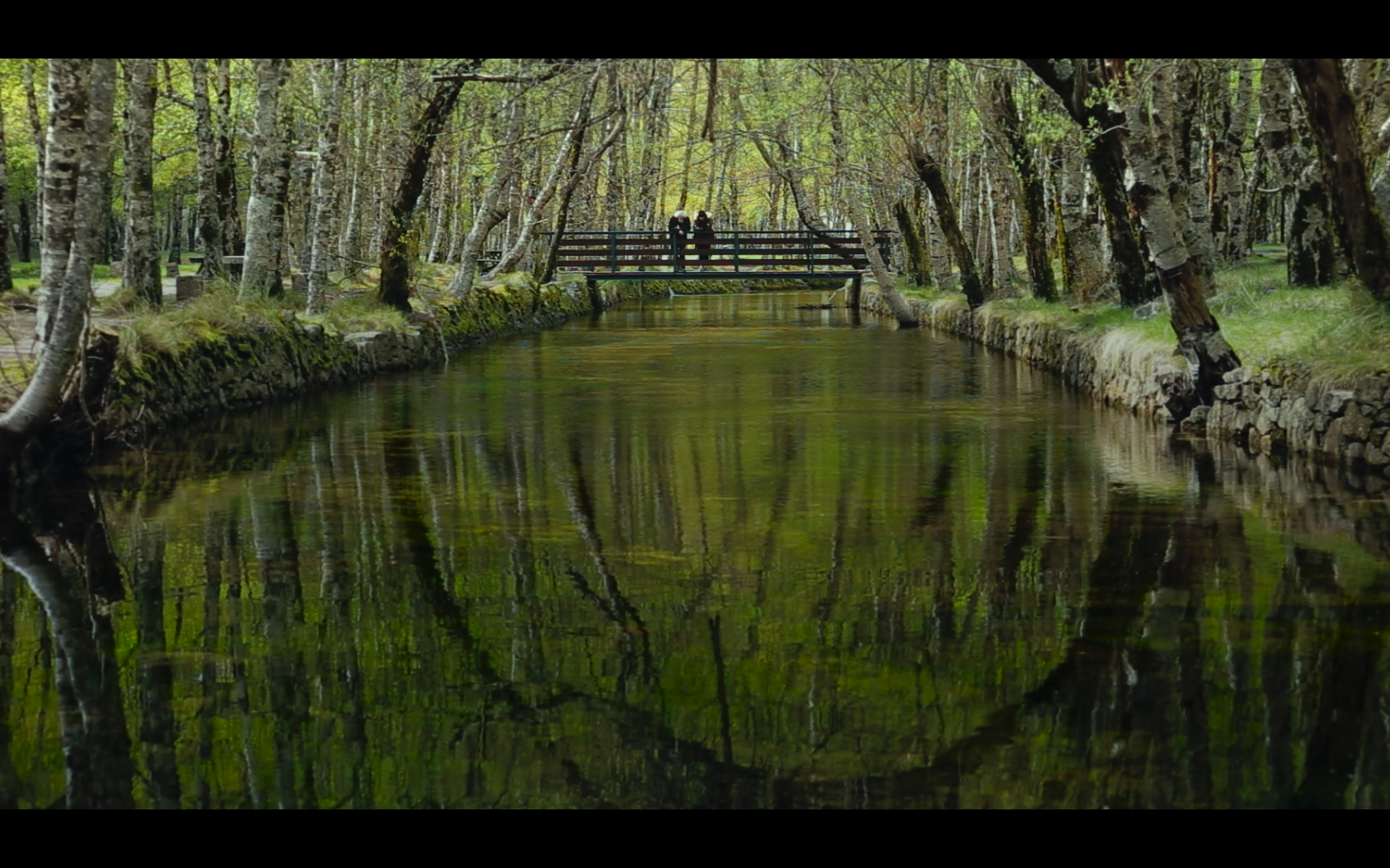 Screenshot 2026-02-26 at 14.37.10.png