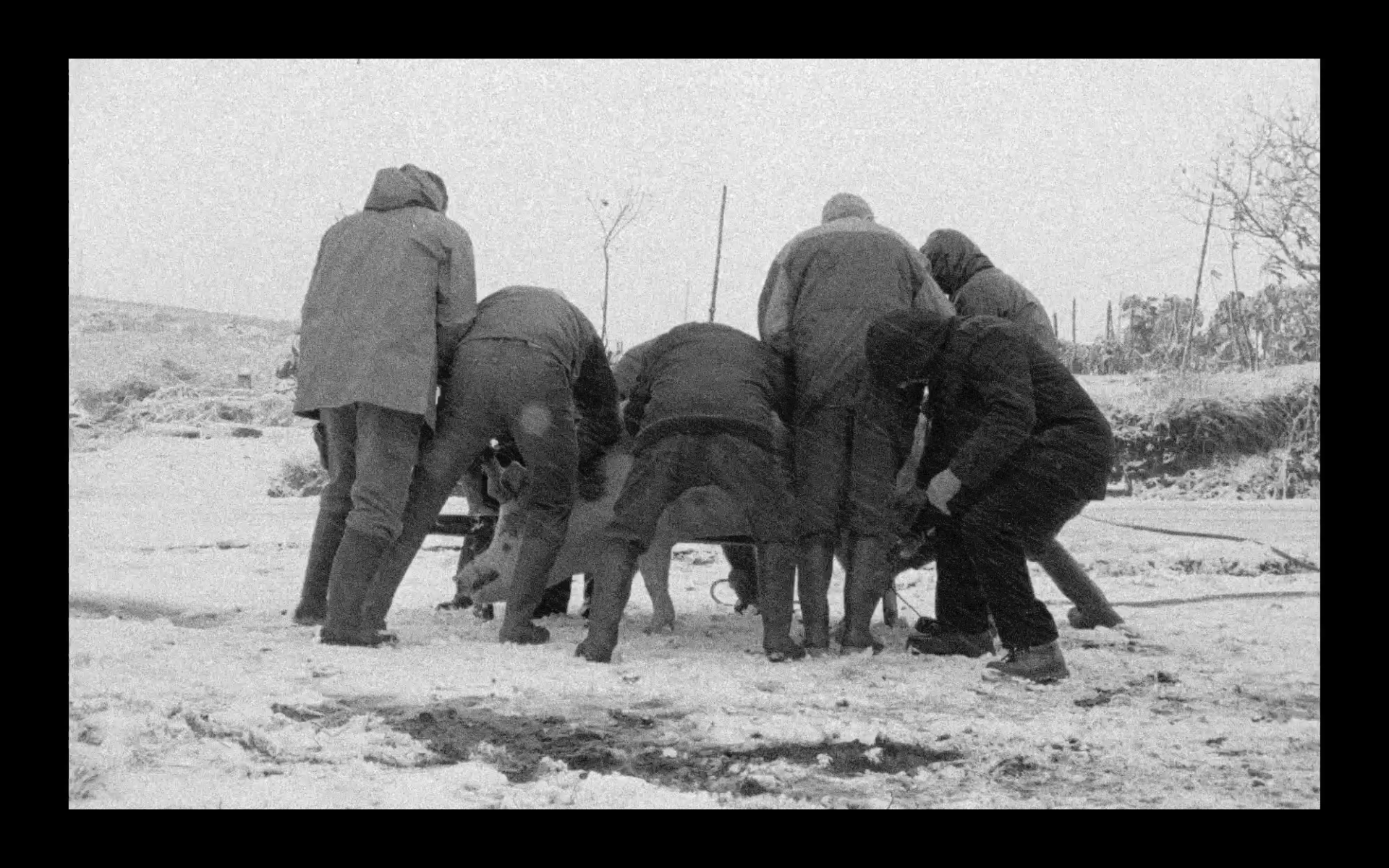 Screenshot 2026-01-30 at 16.11.36.png