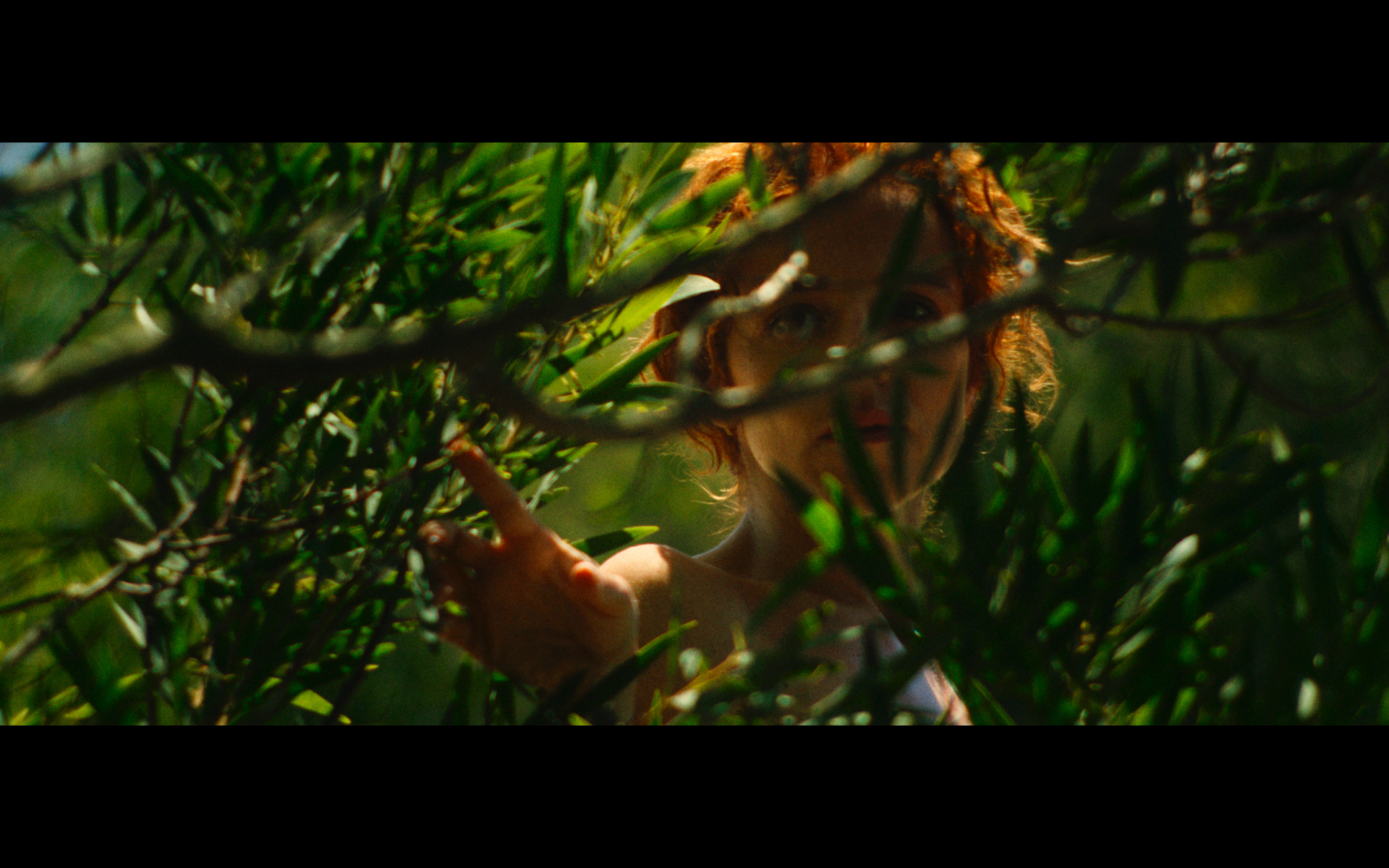 Screenshot 2026-02-11 at 13.38.20.png