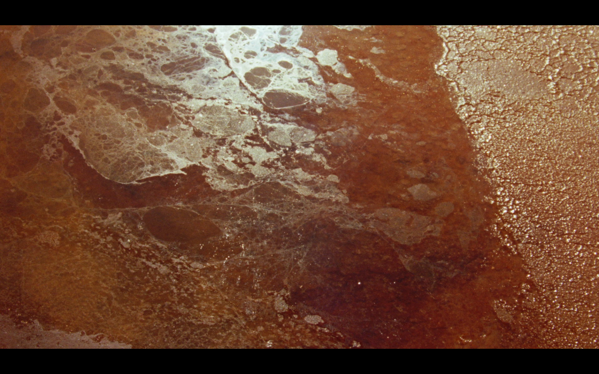 Screenshot 2026-02-13 at 13.24.47.png