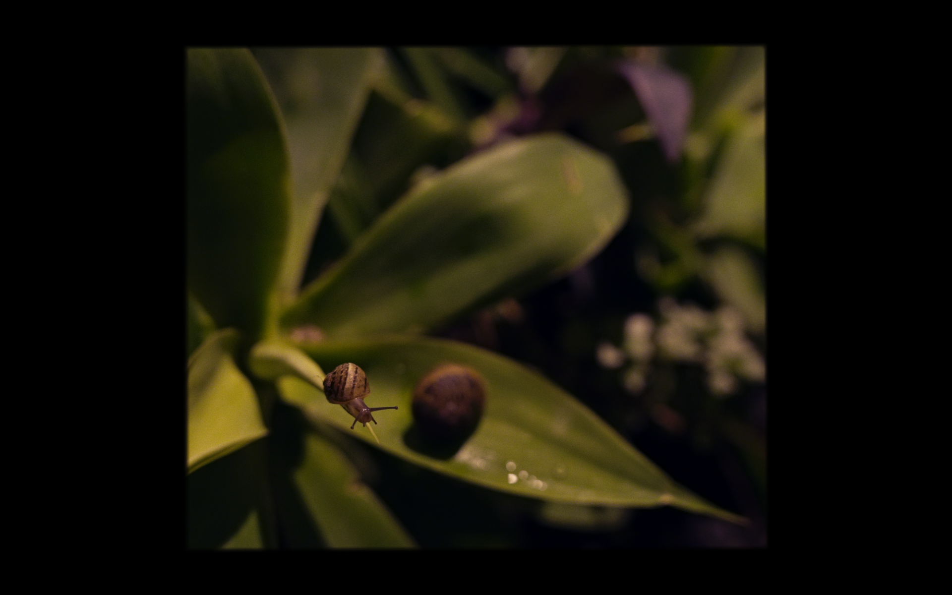 Screenshot 2026-02-11 at 11.37.55.png