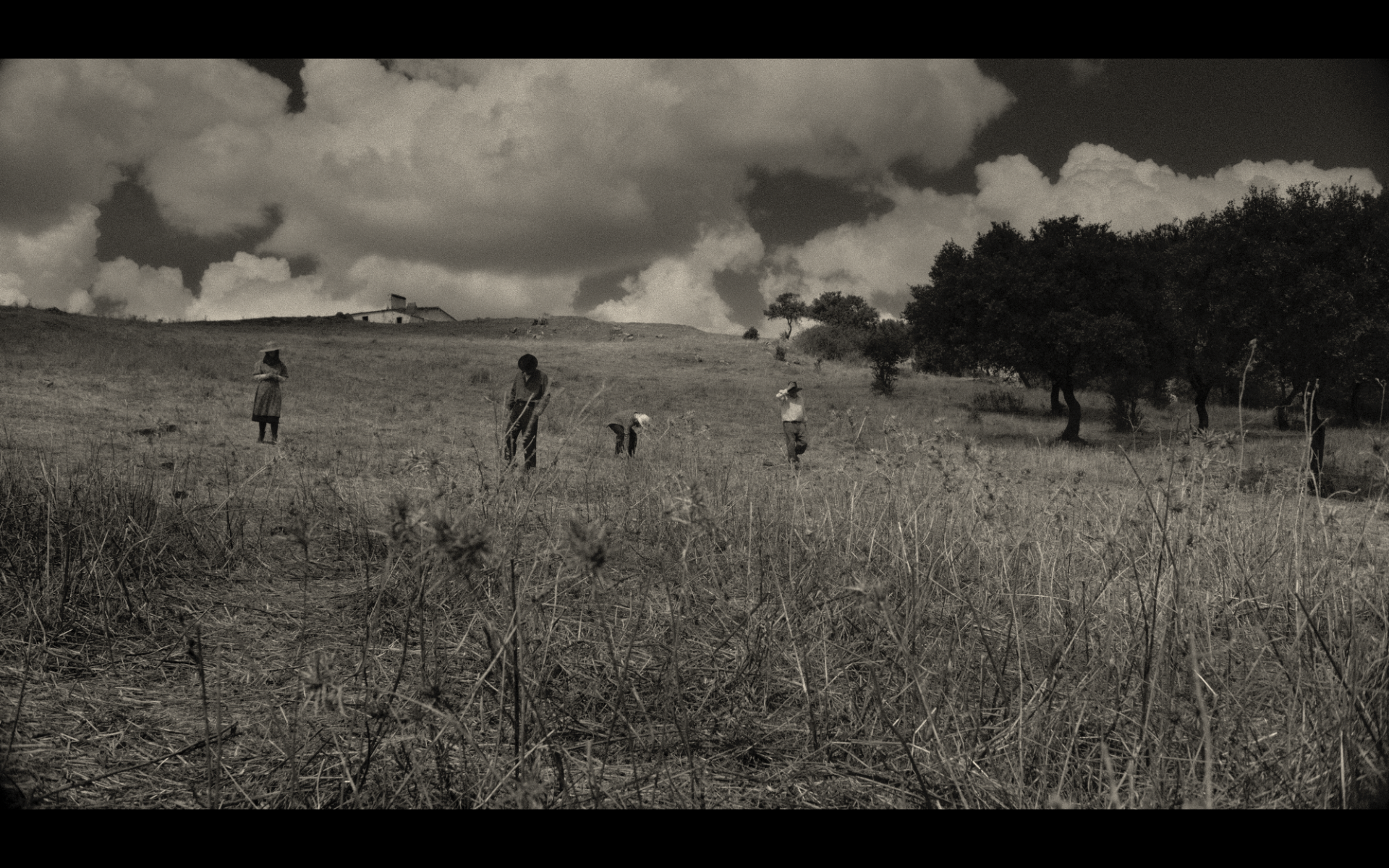 Screenshot 2026-02-12 at 15.10.31.png