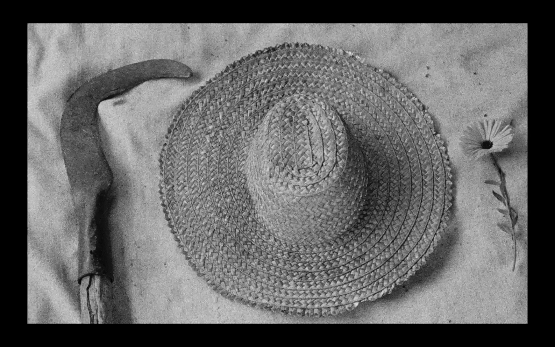 Screenshot 2026-01-30 at 16.13.14.png