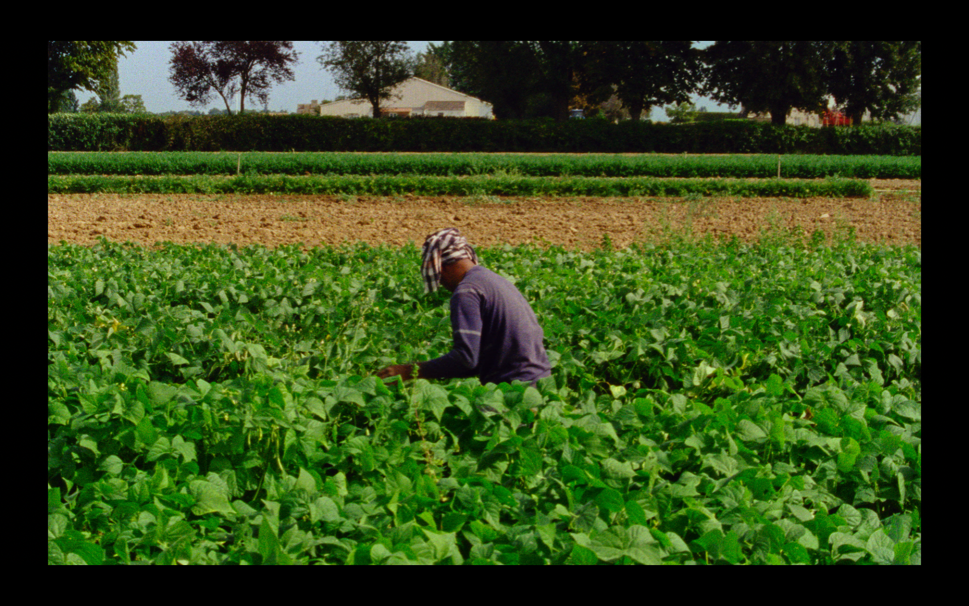 Screenshot 2026-02-10 at 17.11.46.png