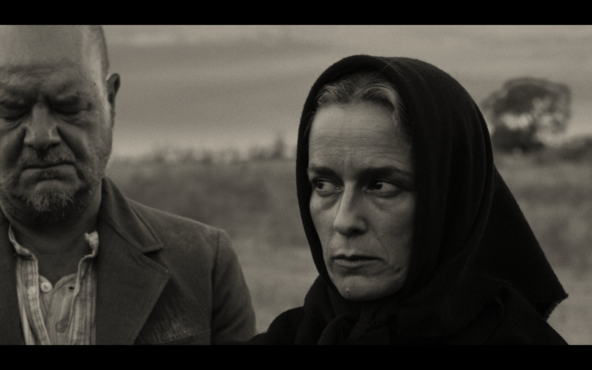 Screenshot 2026-02-12 at 15.00.43.png