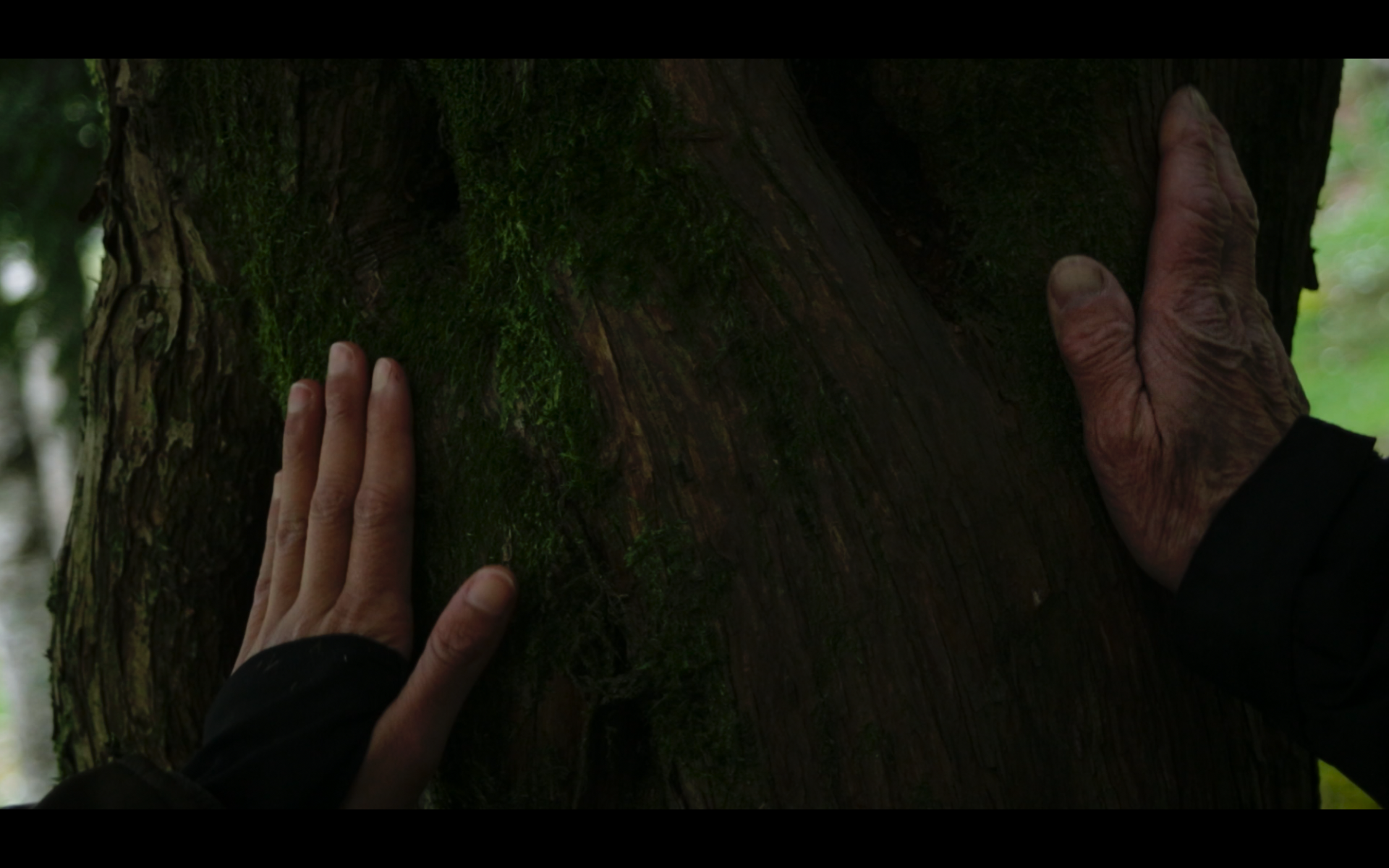 Screenshot 2026-02-26 at 14.37.03.png